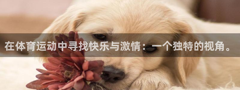 蓝图娱乐3登录