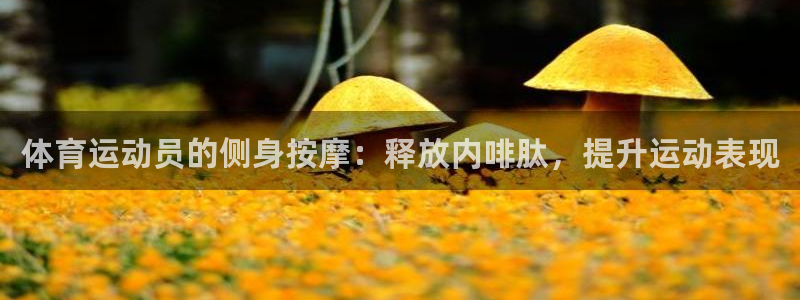 蓝图娱乐体育app下载