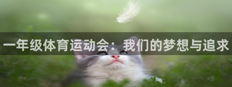 东莞市蓝图娱乐电子科技有限公司