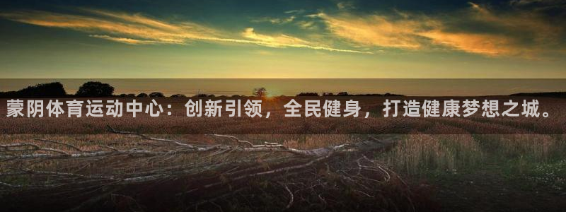 蓝图娱乐股份