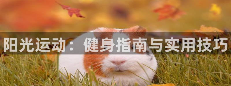 蓝图娱乐体育3在线注册