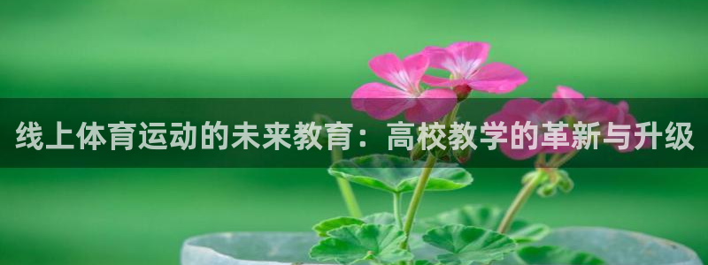 蓝图娱乐3官网登录
